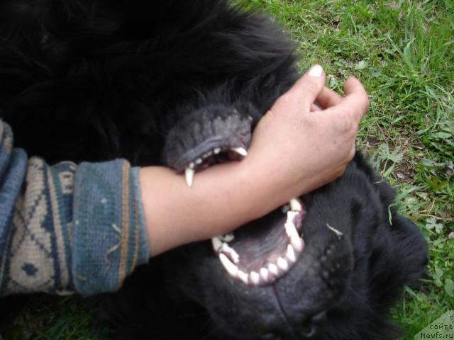 Фотография № 13197