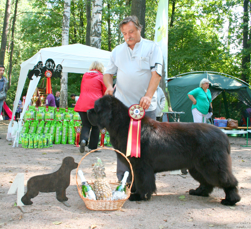 Фотография № 131970