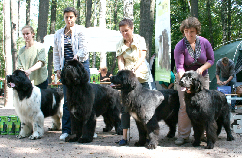 Фотография № 131972