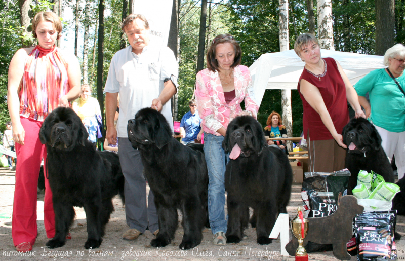 Фотография № 131975