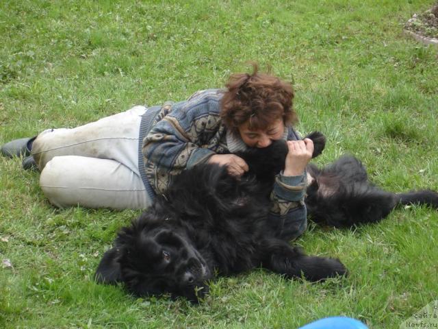 Фотография № 13198