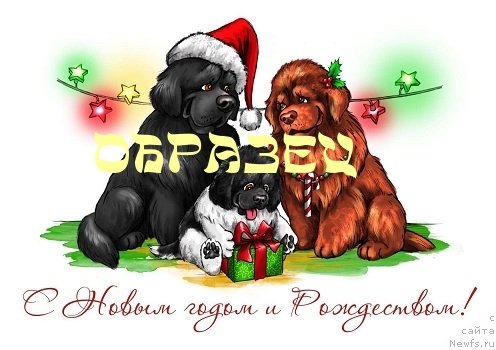 Фотография № 131981