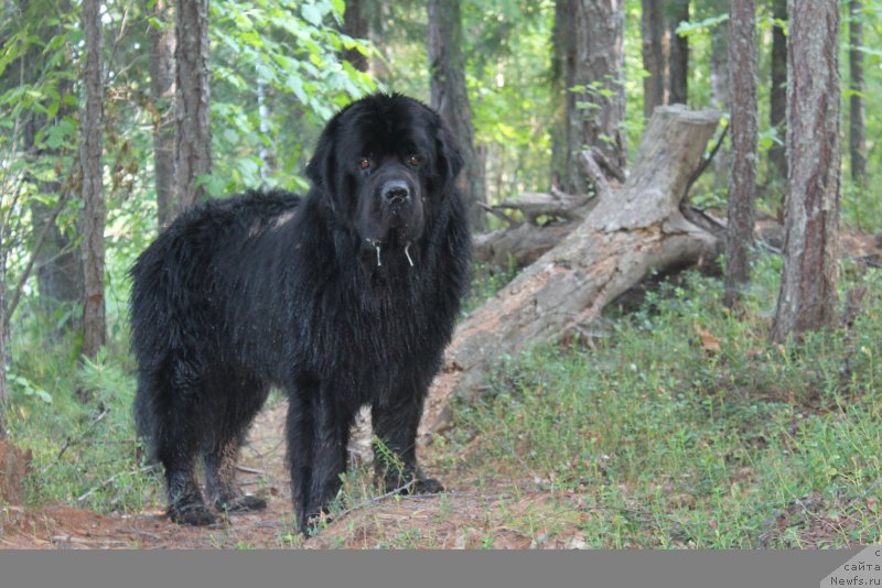 Фотография № 131998