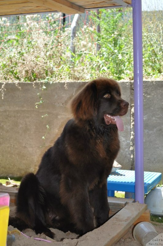 Фотография № 132022