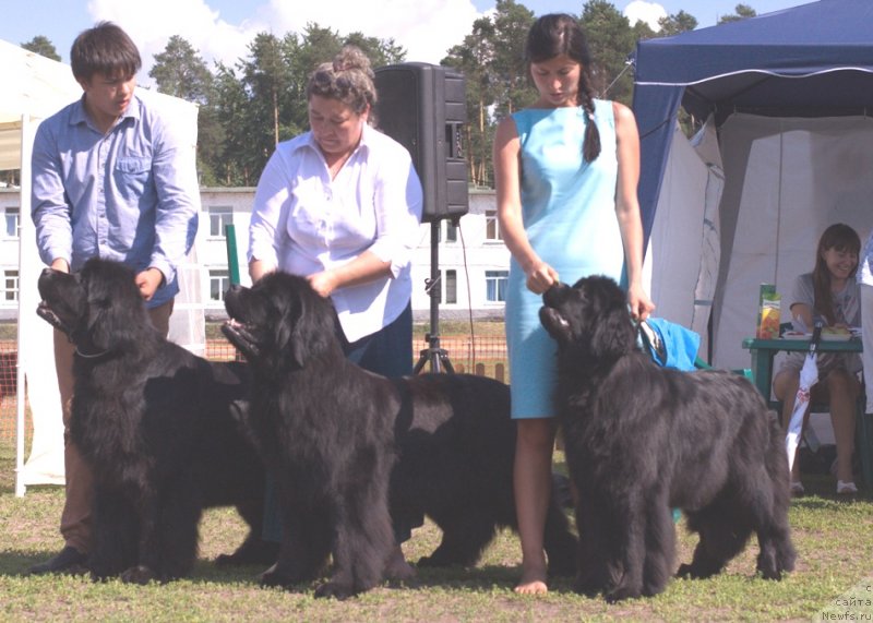 Фотография № 132032