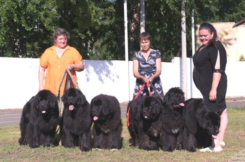 Фотография № 132038