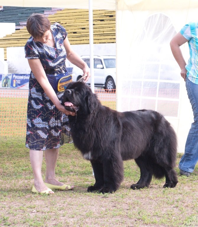 Фотография № 132040