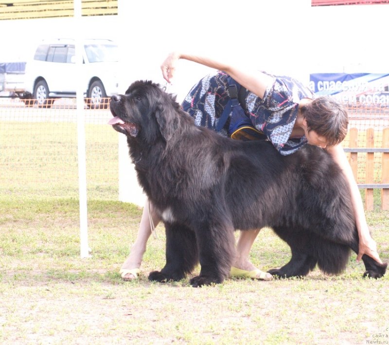 Фотография № 132041