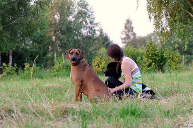 Фотография № 132051