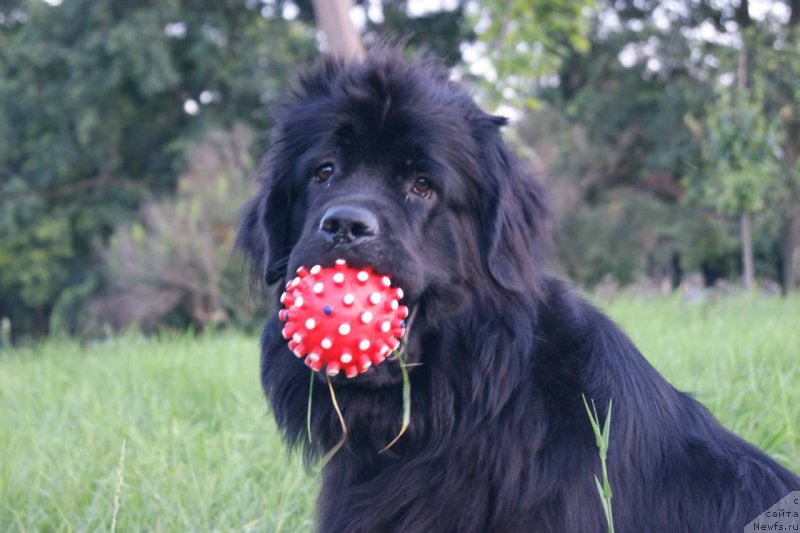 Фотография № 132055