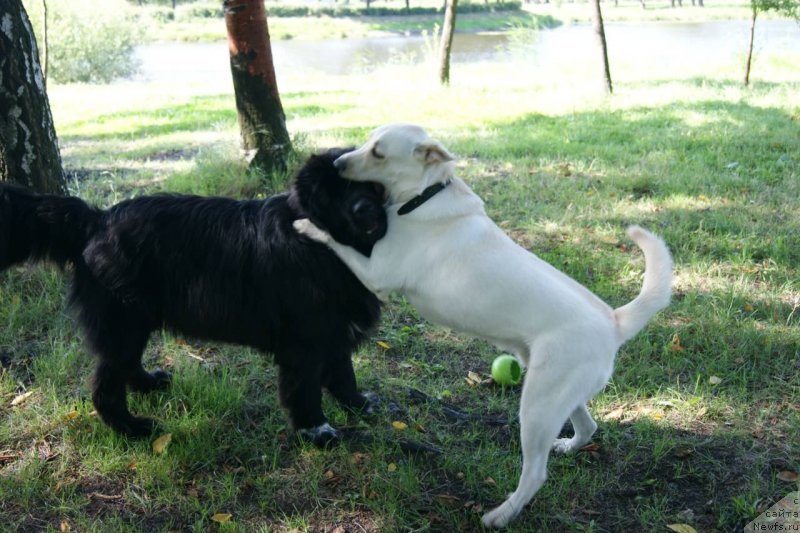 Фотография № 132062