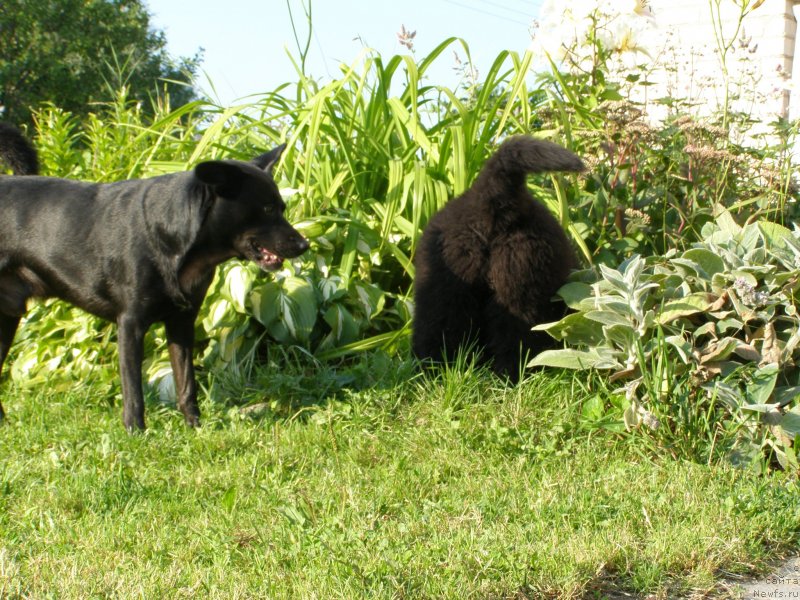 Фотография № 132074