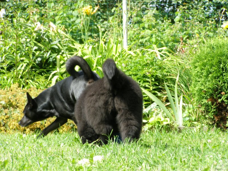 Фотография № 132075