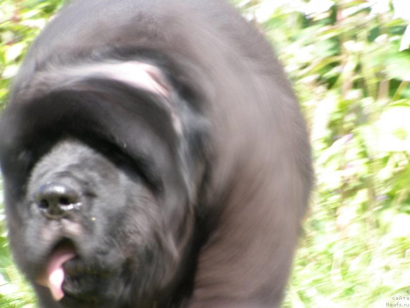 Фотография № 132088