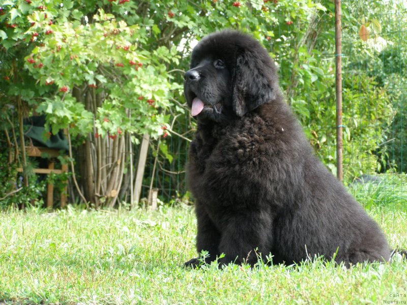 Фотография № 132097