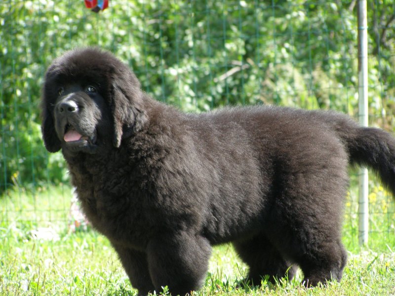 Фотография № 132099