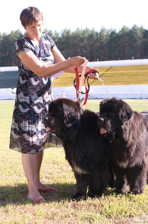 Фотография № 132103