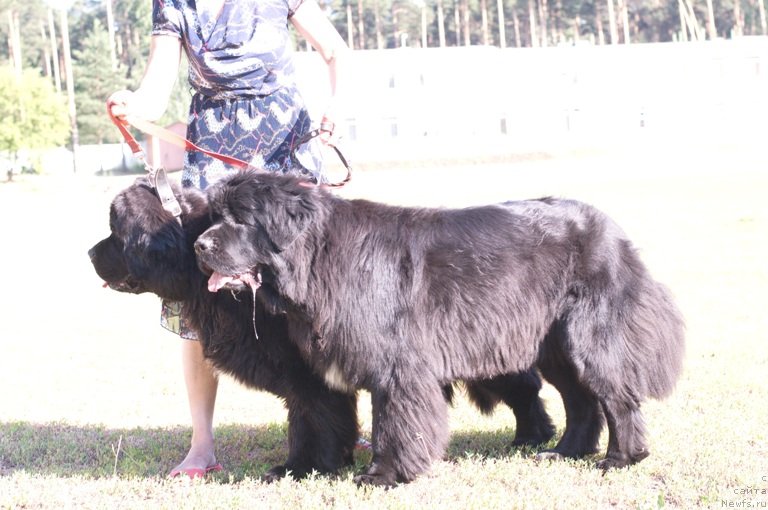 Фотография № 132104