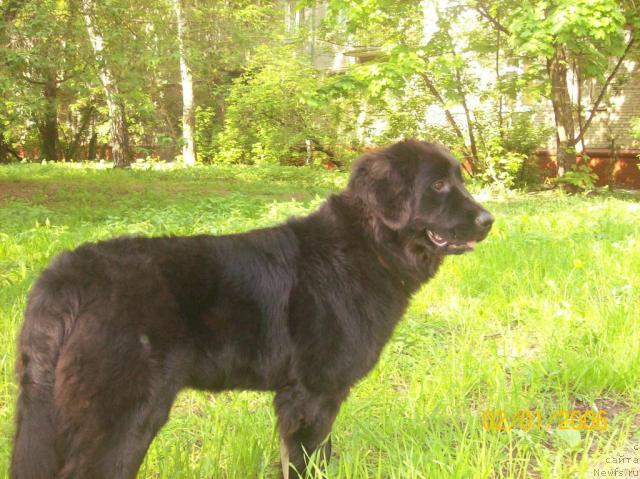 Фото: Тэрри