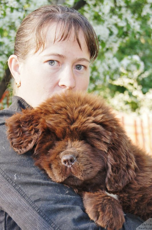 Фотография № 132115