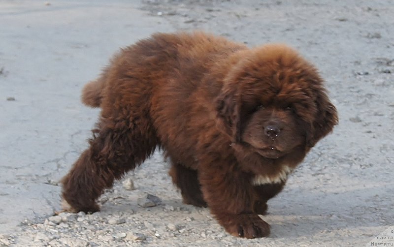 Фотография № 132116