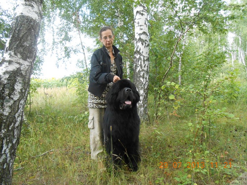 Фотография № 132121