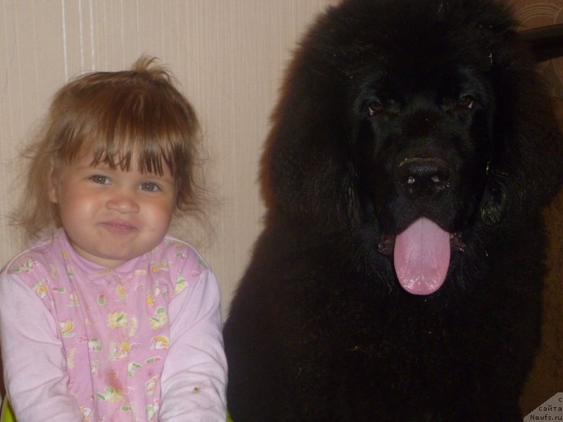 Фотография № 132129