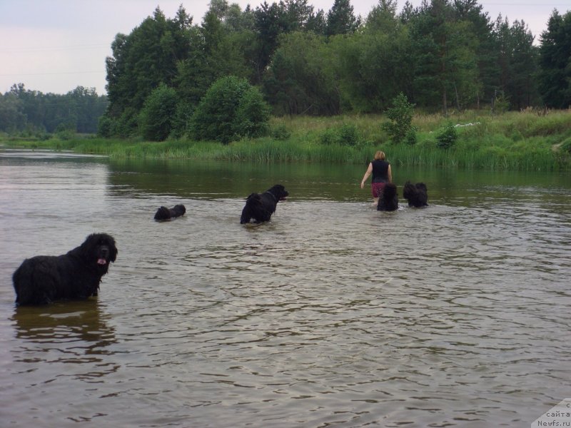 Фотография № 132165