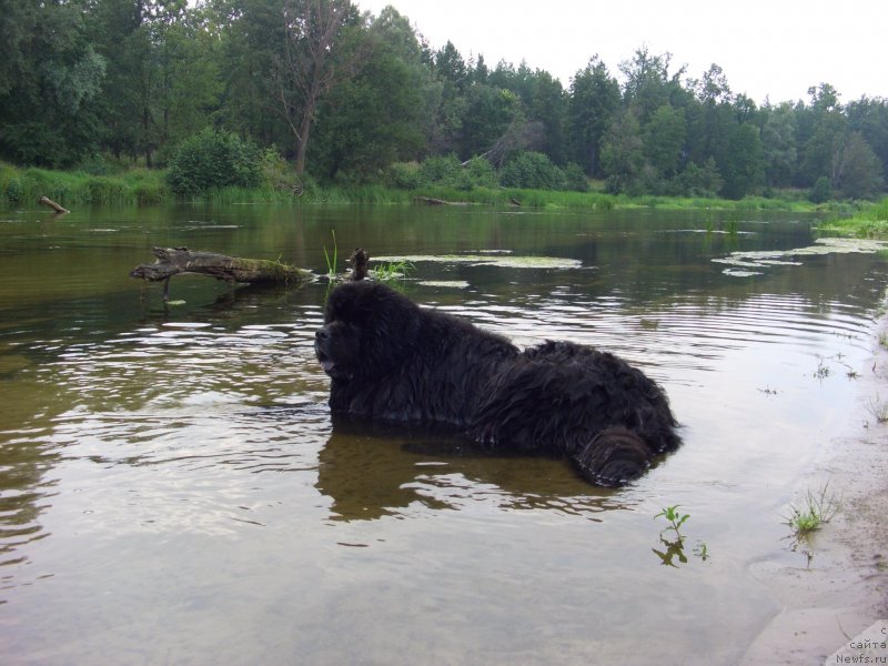 Фотография № 132166