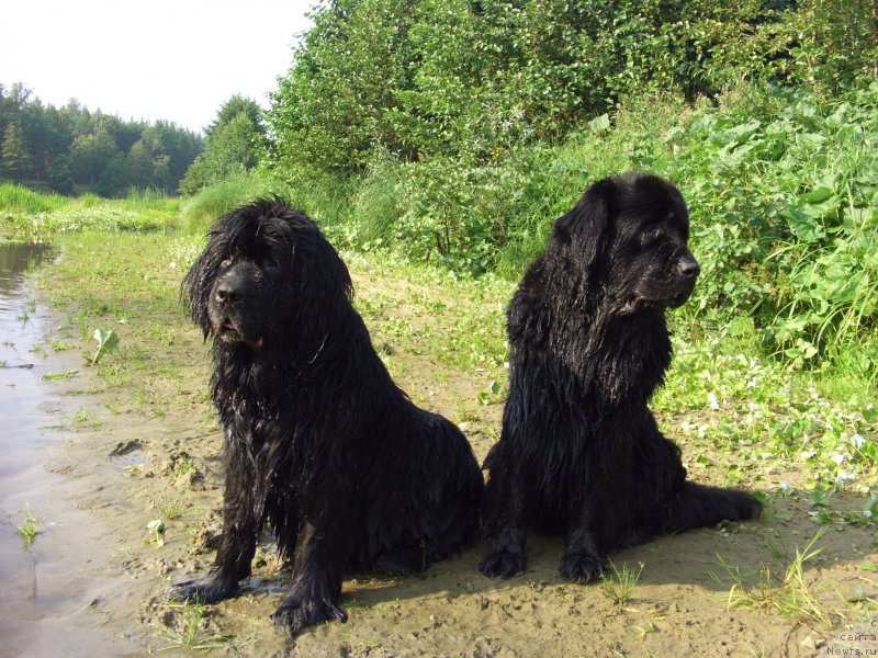 Фотография № 132168