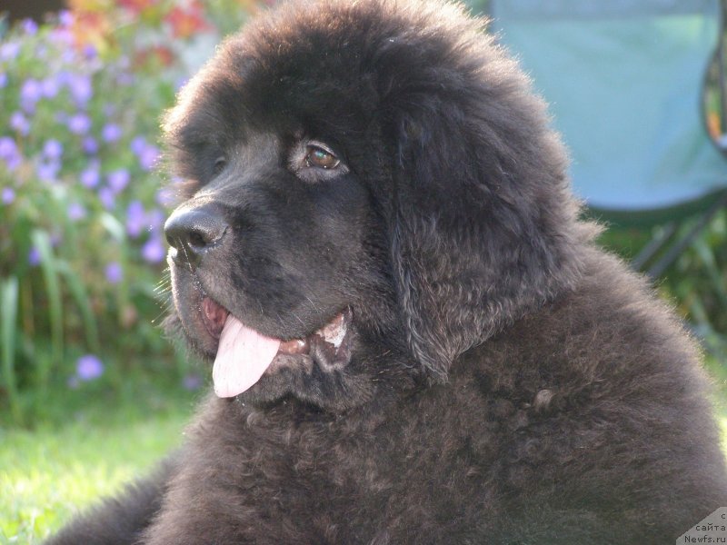 Фотография № 132209