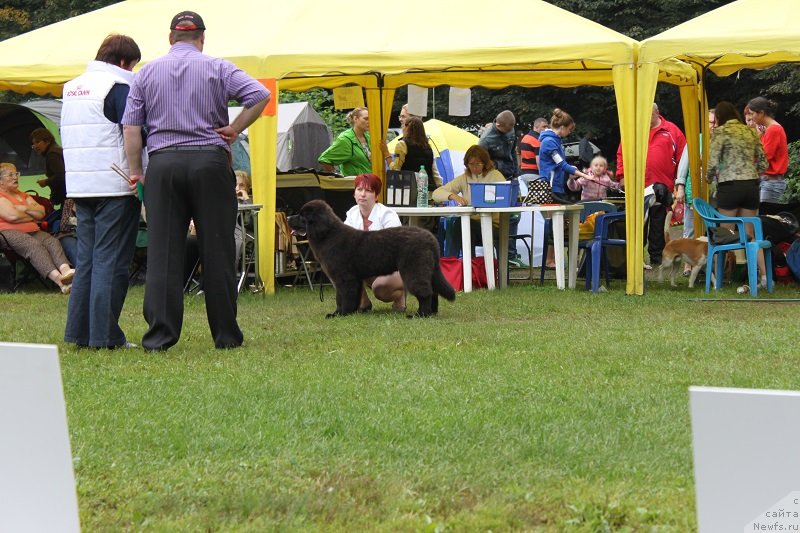 Фотография № 132212