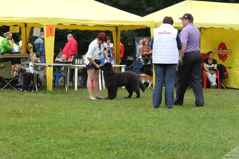 Фотография № 132213