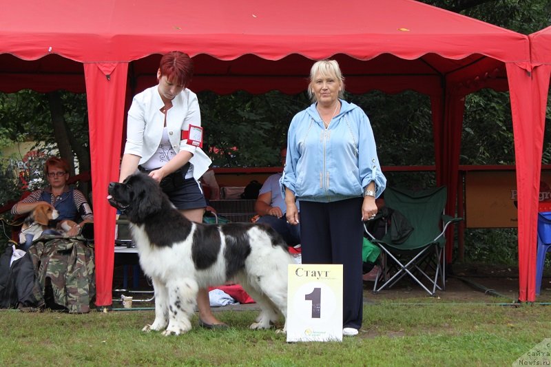 Фотография № 132216