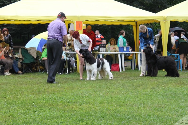 Фотография № 132217