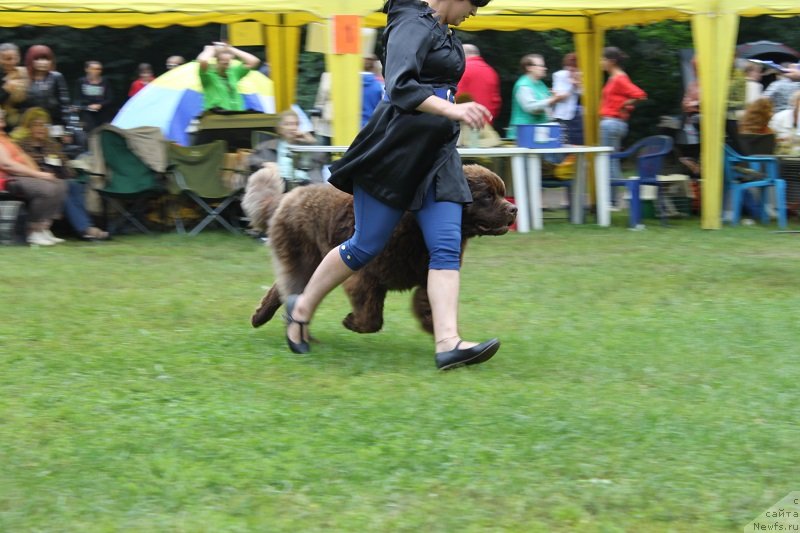 Фотография № 132222