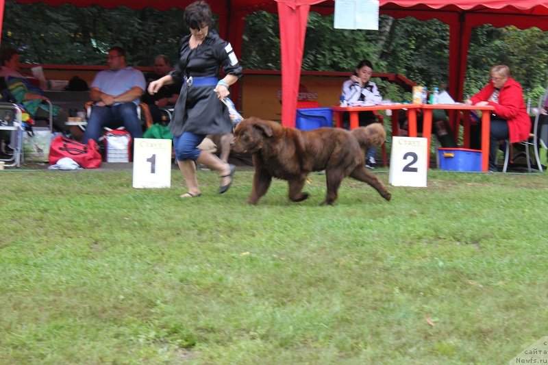 Фотография № 132223