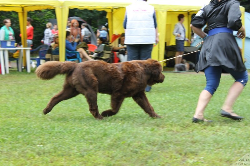 Фотография № 132224