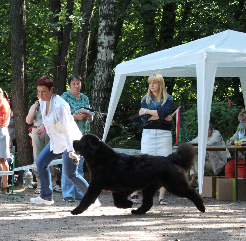 Фотография № 132232