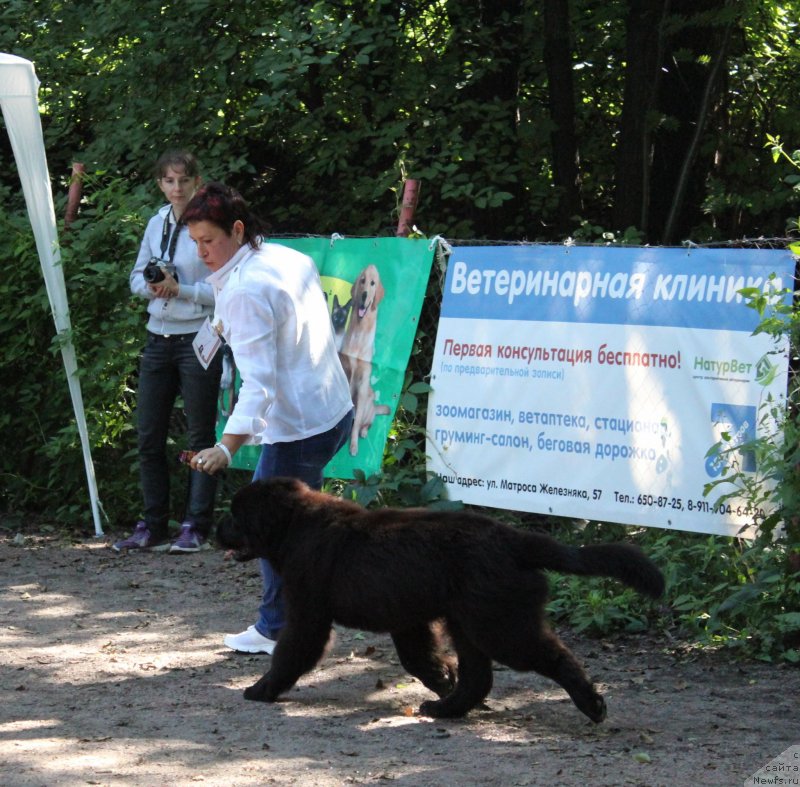 Фотография № 132234