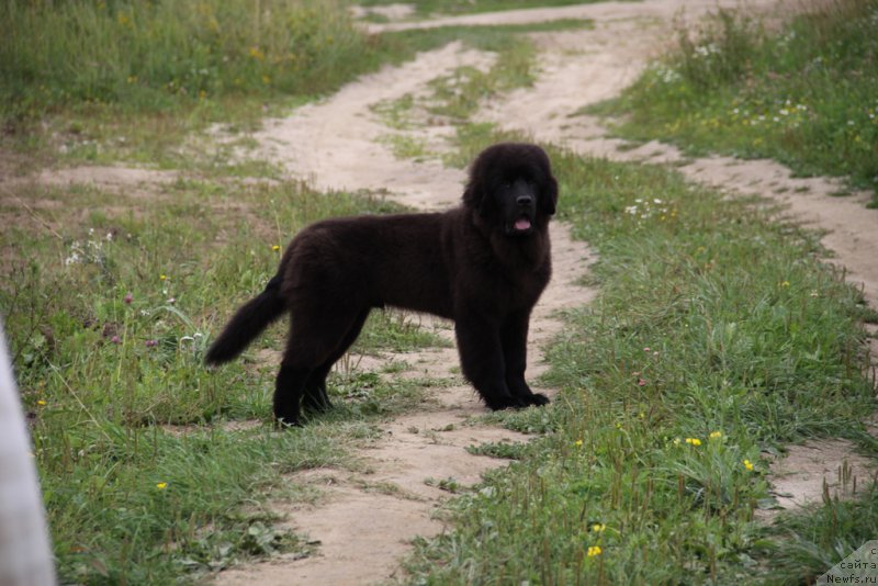 Фотография № 132240