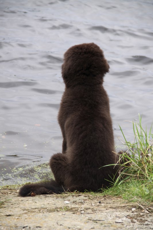 Фотография № 132241