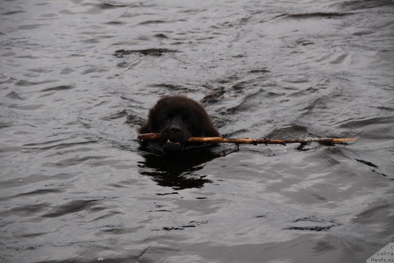 Фотография № 132242