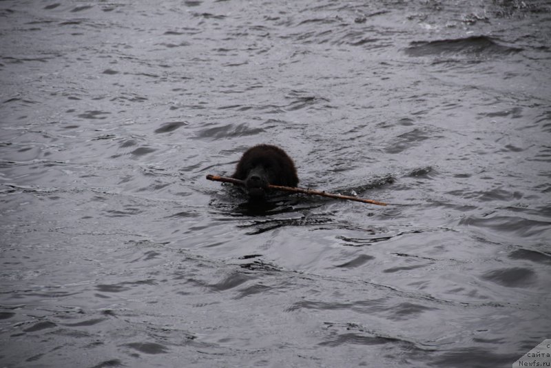 Фотография № 132243