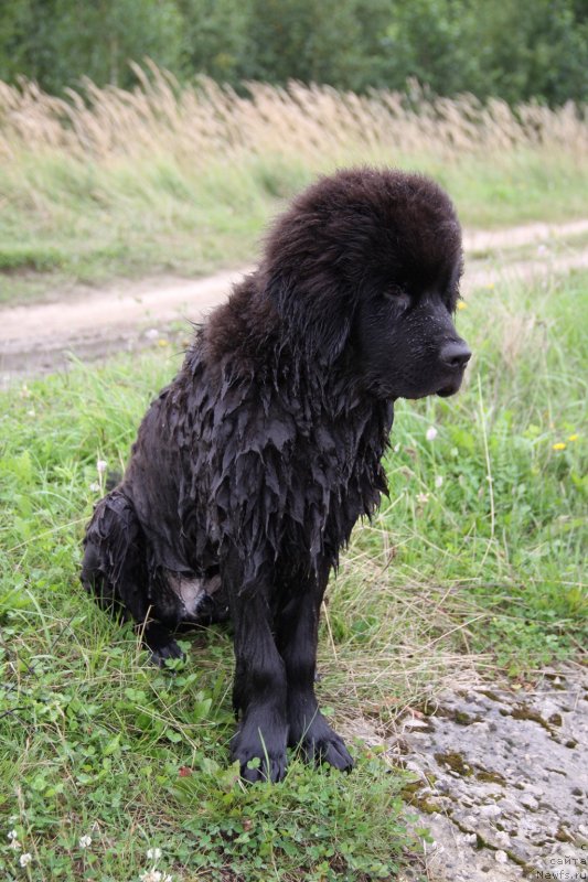 Фотография № 132245