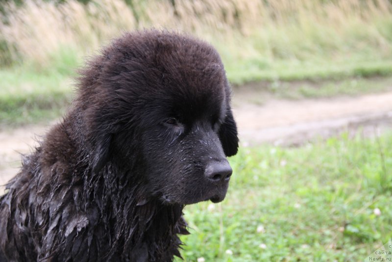 Фотография № 132246