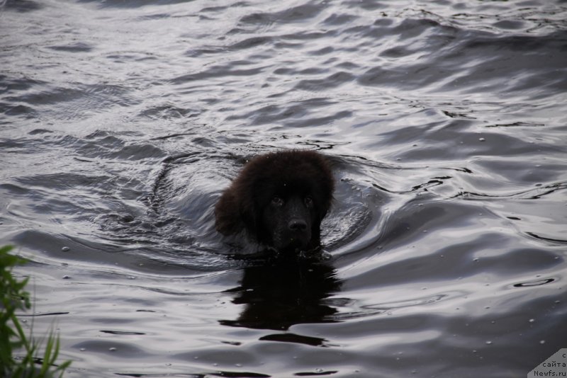 Фотография № 132247