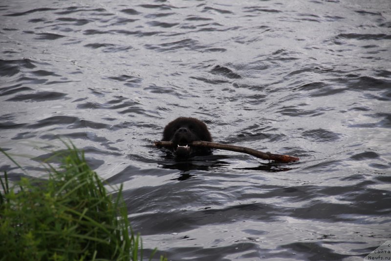 Фотография № 132248