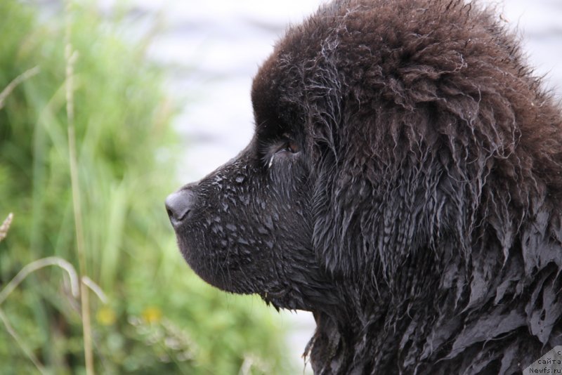 Фотография № 132249