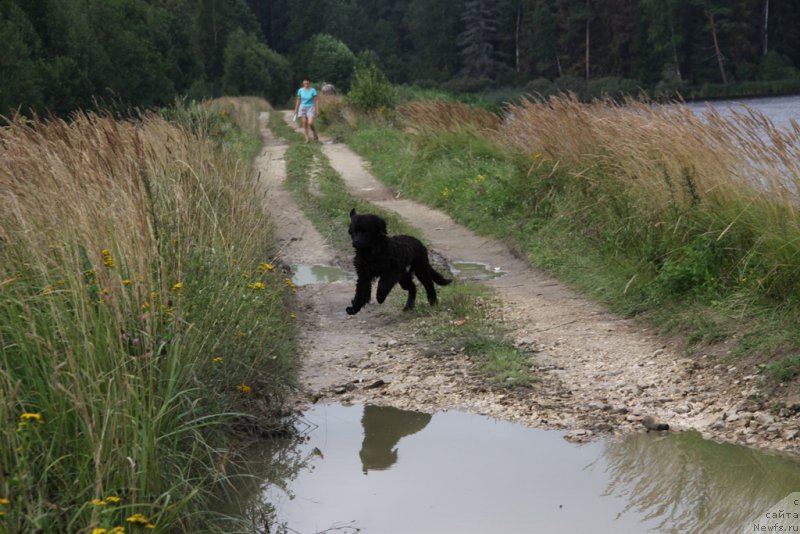 Фотография № 132250